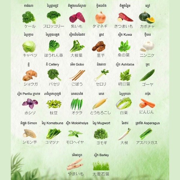 DHC Perfect Vegetable Premium (60 Days)-1